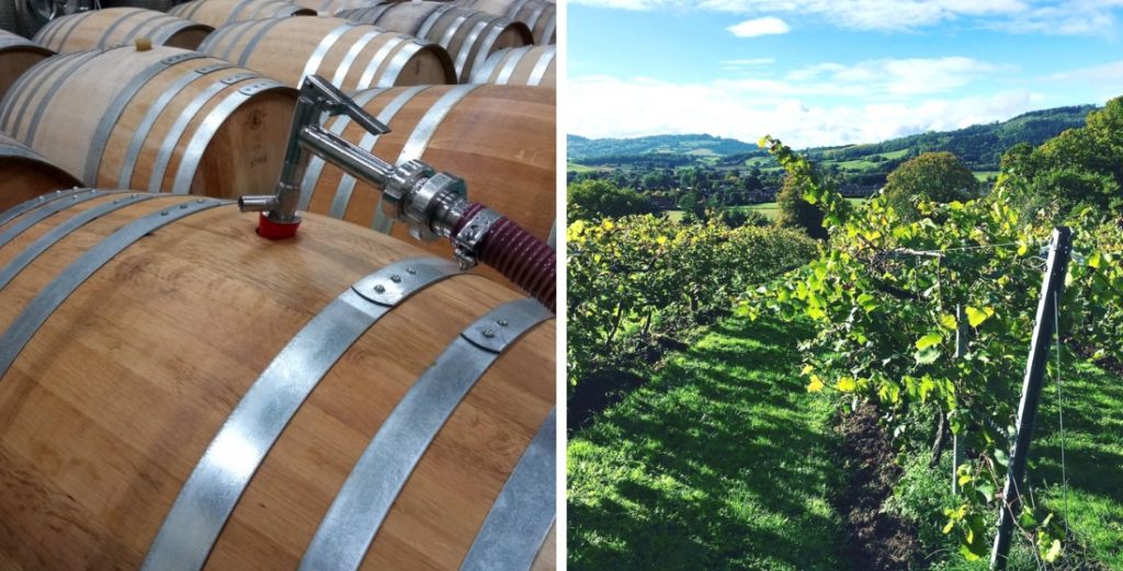 Vineyards in England that offer wine tasting tours 7