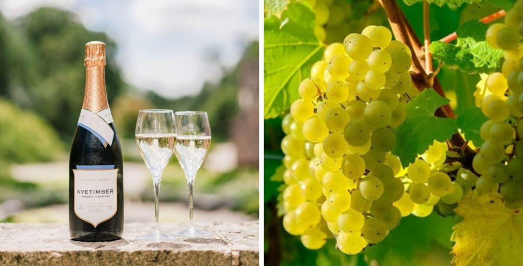Vineyards in England that offer wine tasting tours 1