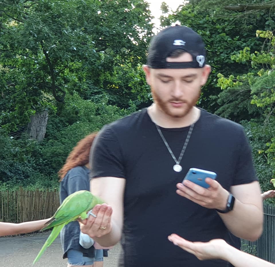 Parrots in Hyde Park